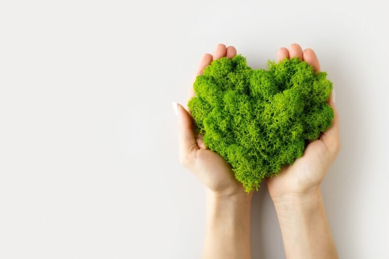 Concept de la Journée mondiale de la Terre avec un cœur de plante verte sur fond bleu,